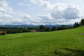 Allgäu Green Meadows Nature