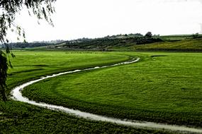 river road in the meadow