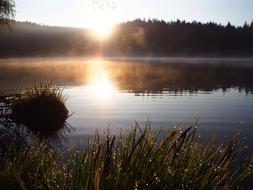 Misty lake at Sunrise