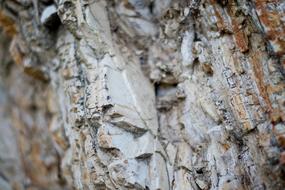 macro photo of Rocks Texture