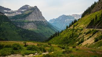 large rocks with trees landscape
