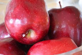 ripe refreshing apples