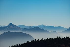 Mountain Highland Trees