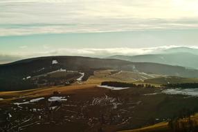 Mountain Highland Trees