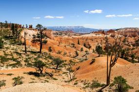 Bryce Canyon National park view