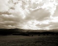 Trees Grass Mountain