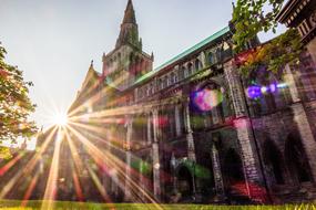 Old building among the plants, in colorful sunlight