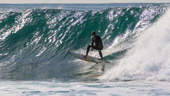 Surfer Surfing Wave