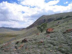 Altai Valley Panoramic