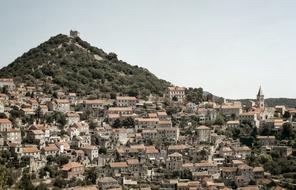 Mountain Trees Plants