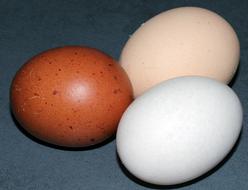 three colored eggs