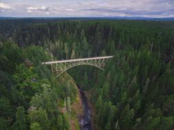 high bridge in the forest