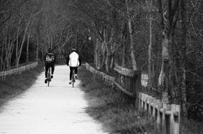 Cycling Bike Bicycle