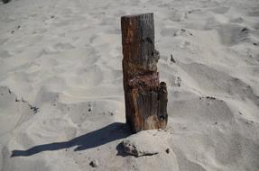 Beach Drift Wood Flotsam And jetsam