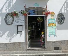 Entrance of the old, white building with the colorful flowers