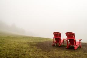 Nature Grass Fog