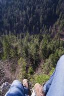 man at nature forest