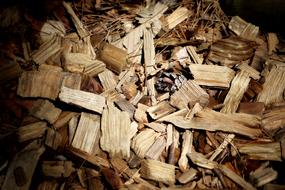 pine Wood Floor Carvings