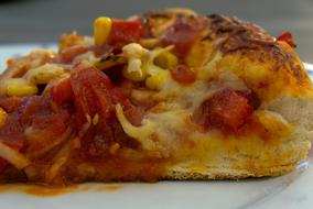 delicious flavorful pizza