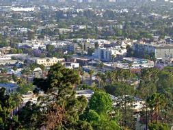 Los Angeles California cityscape