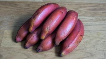 Lots of tropical bananas