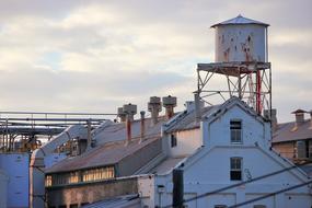 Flour Mill Lewisham Nsw