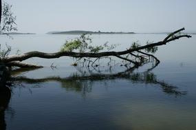 Lacquer Reflection Water