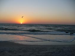 Sunset Windsurfer