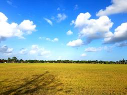 natural landscape of the field