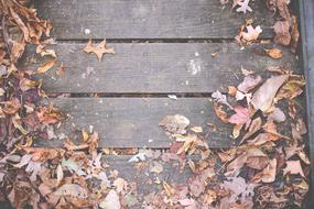 Leaves on Wood Deck