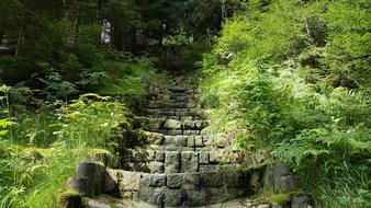Stairs Stone Stairway Hiking