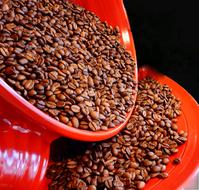 coffee beans in containers