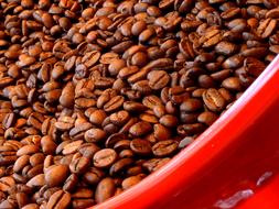 stimulating aromatic grains