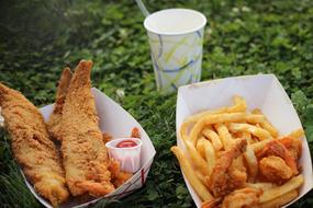 fried fish and potatoes