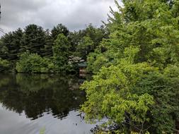 Pond and Trees Outdoors