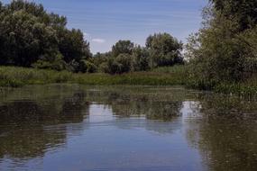 Danube Slovakia Nature