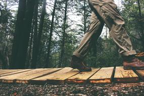 closeup photo of a man walks on a boardwalk in the forest