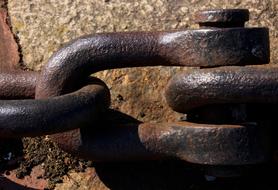 Close-up of the rusty, shiny d shackle in light