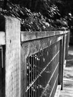fence near the house photo