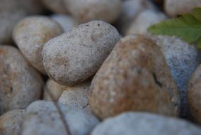 beach brown stones