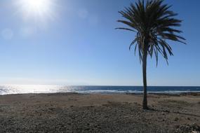 Palm Beach at Sunlight