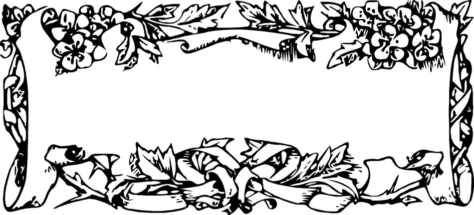 a frame of flowers and branches