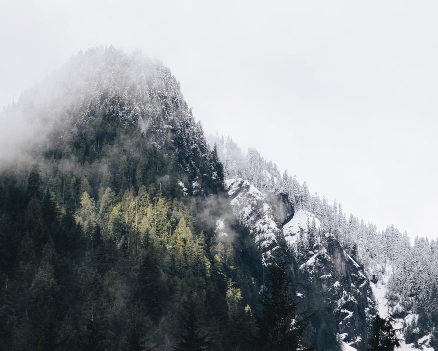 Snowy Mountains Hills forest