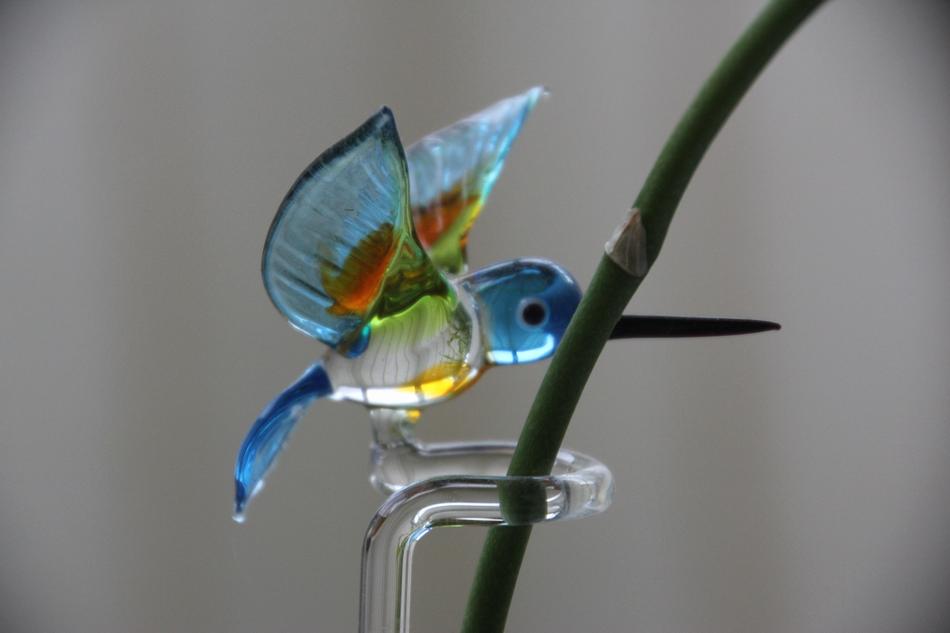 glass bird by the branch