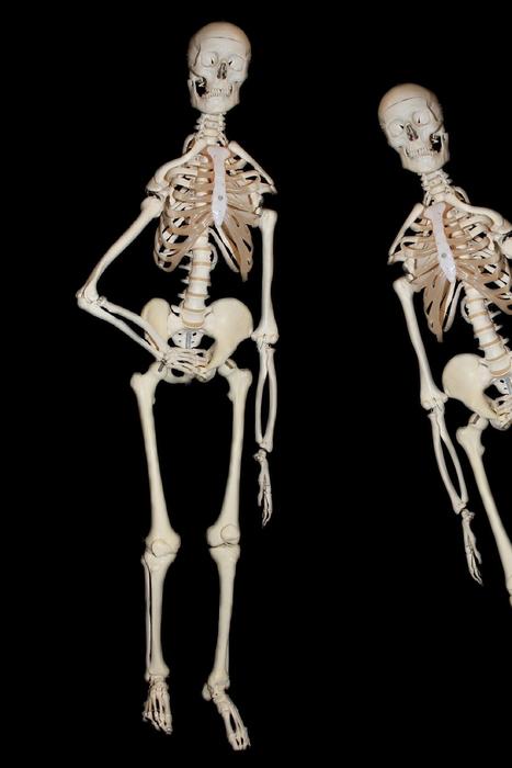 skeletons of people on a dark background