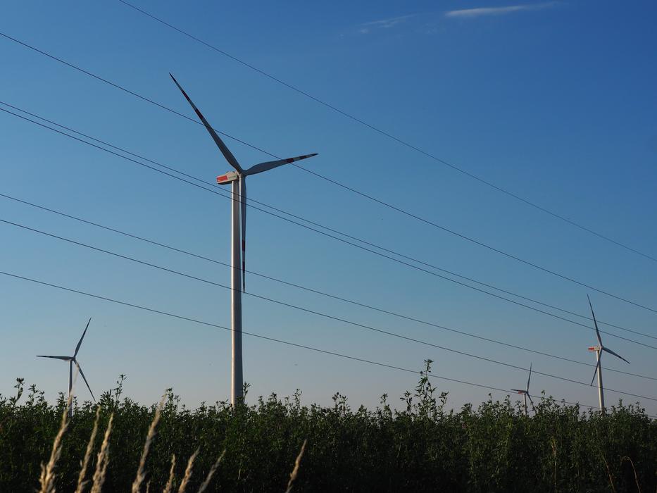 windmill with grass