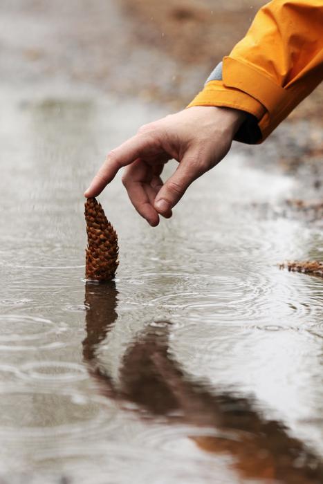 Person, touching pinecone in the water, on the ground, after the rain