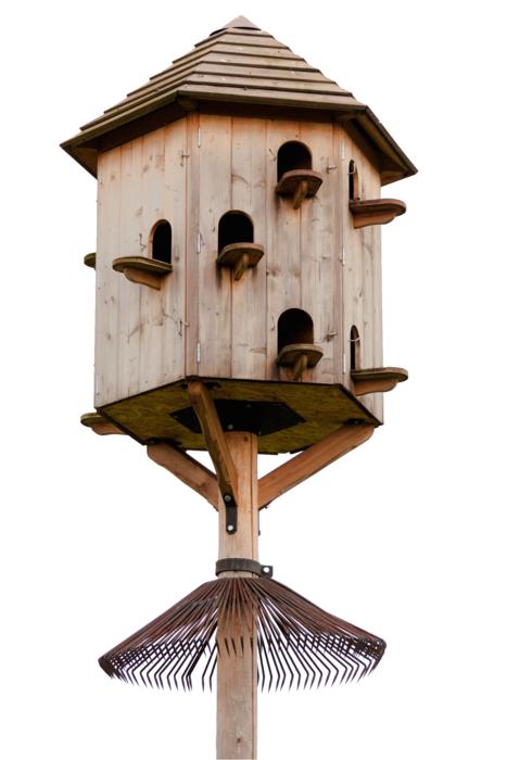 Isolated Aviary Out
