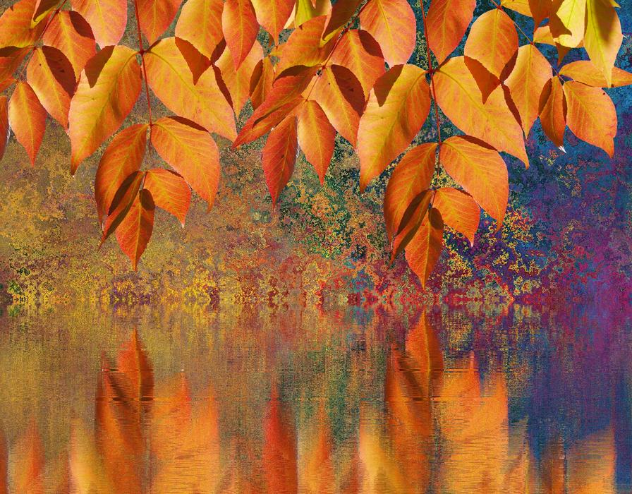 fall water plants