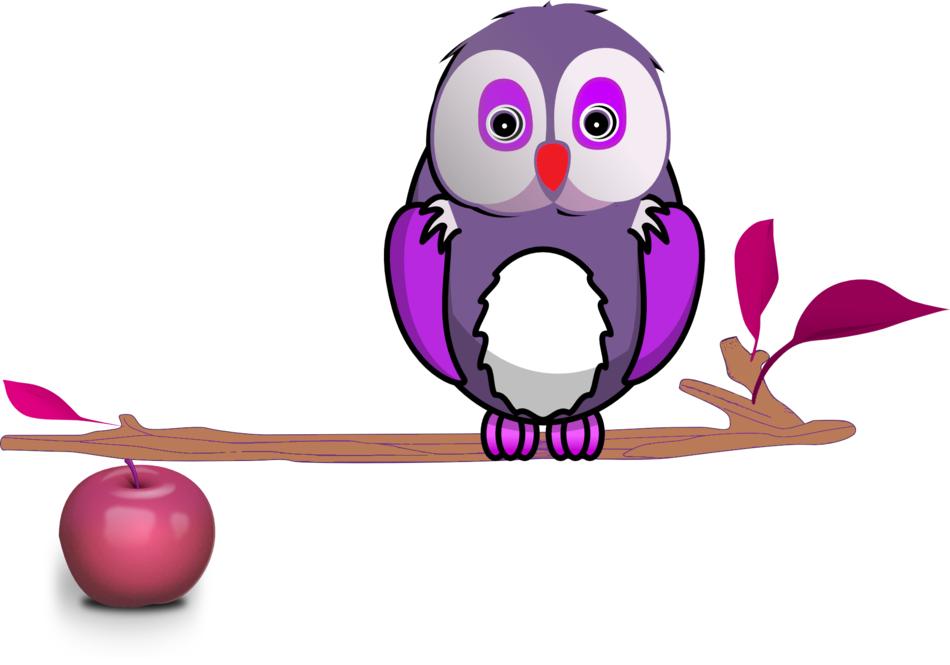 apple fruit branch bird owl